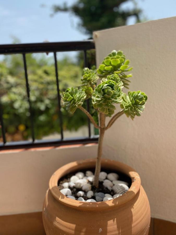 Las Palmeras 3, Nerja Ngoại thất bức ảnh